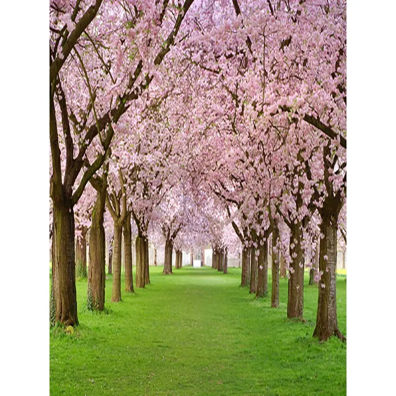 Фотофон SHUOZHIKE на День святого Валентина