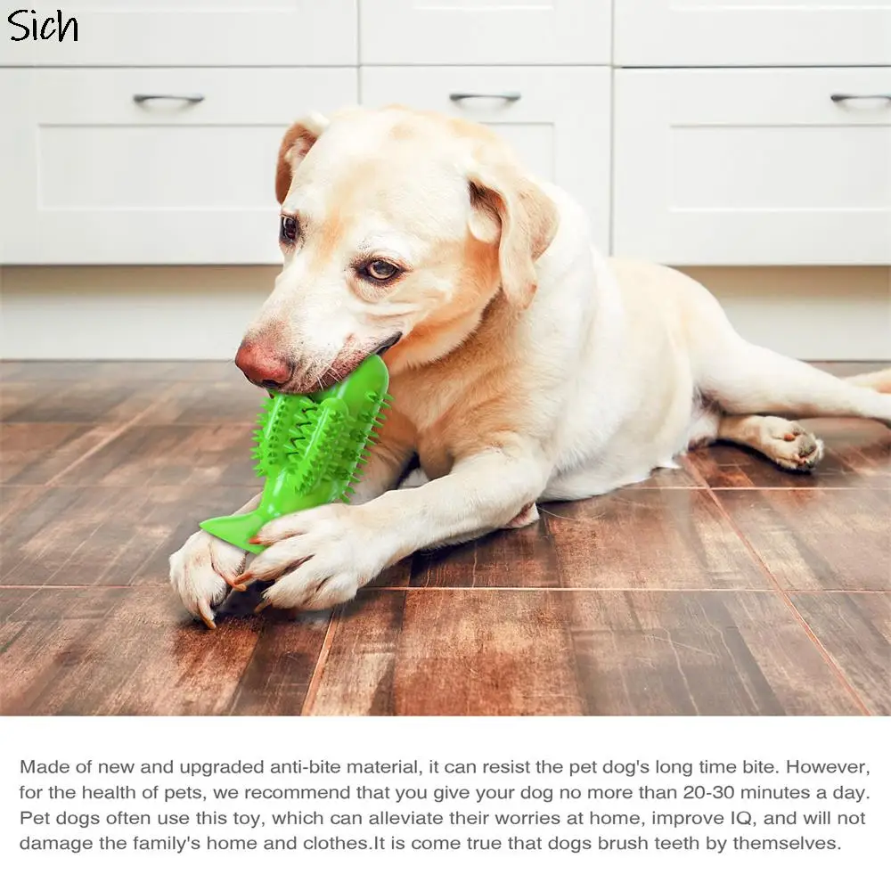 Щетка для зубов собаки жевательная игрушка с пищалкой для игрушек, неразрушимая, для обучения IQ, очищения зубов, маленькая средняя большая щенковая жевательная игрушка.