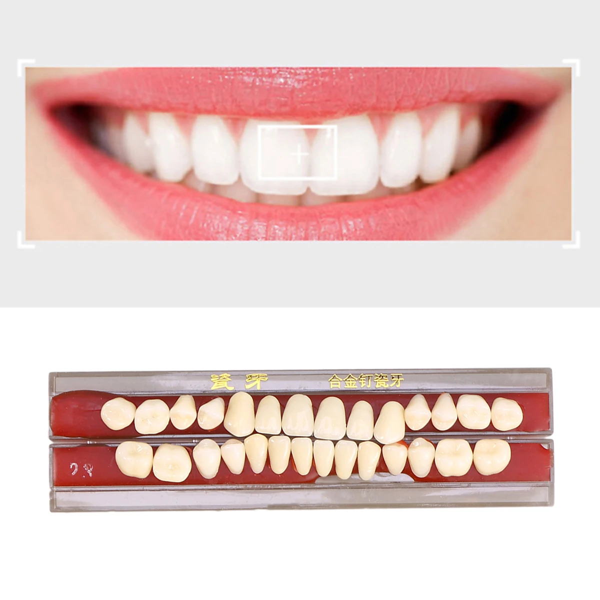 

1 Box Porcelain Tooth Dental Oral Material Color Shade Guide Teeth Dental Accessories (Second Grade 23#)