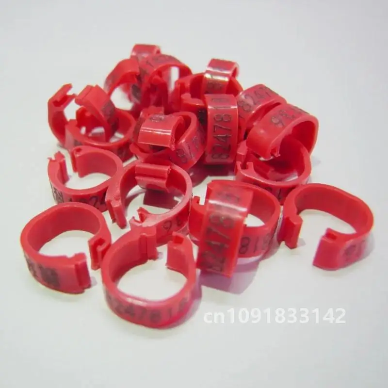 индивидуальные групповые продукты для голубей кольца птиц ленты