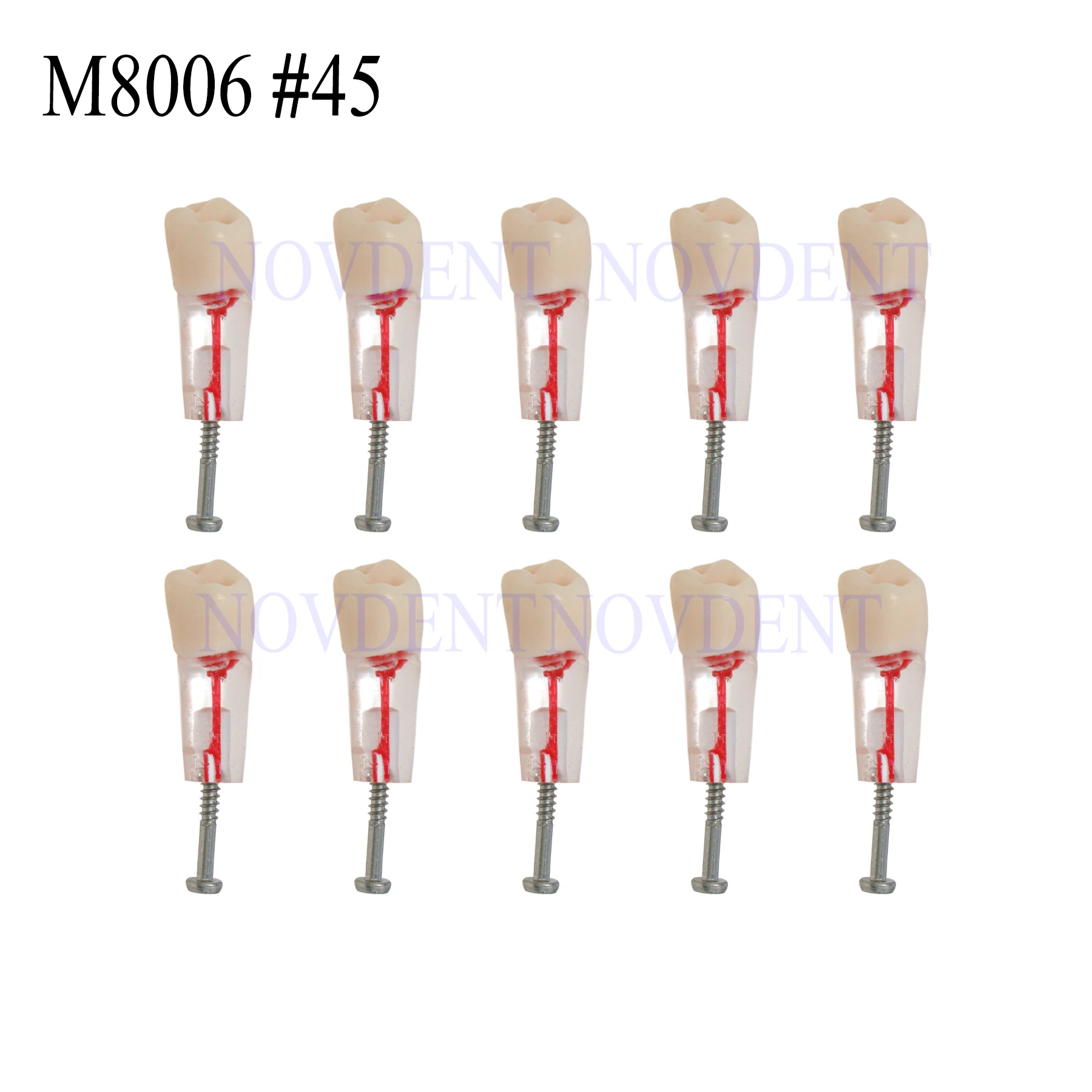 10 шт. стоматологическая модель RCT Typodont эндо корни канальная зубов учебная