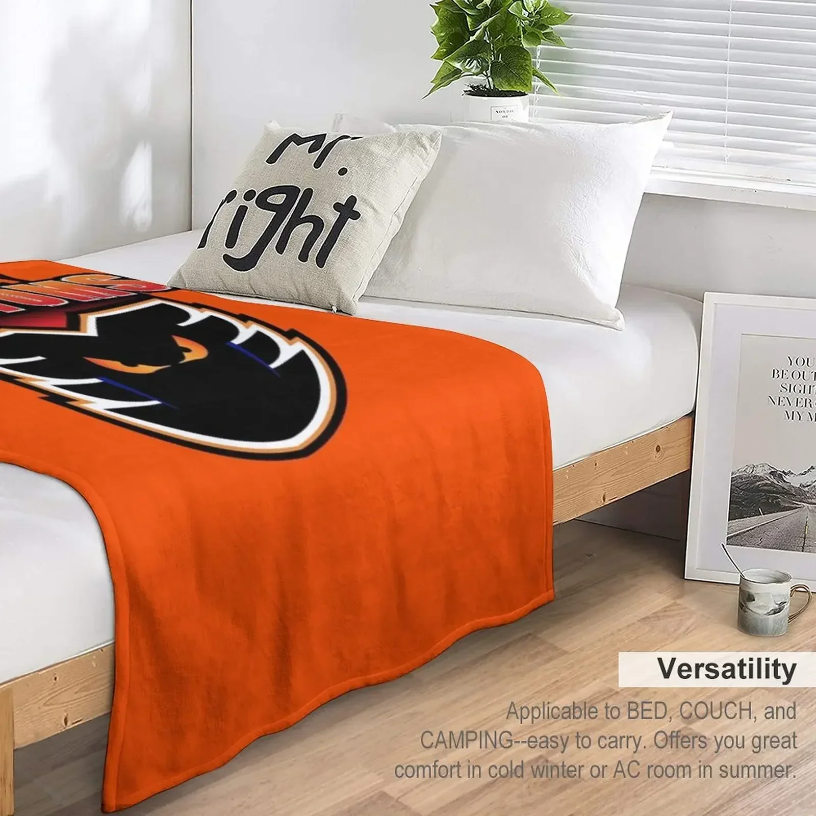 Плед Phantoms-Lehigh Valley Мягкие кровати на зиму Роскошные пледы и Одеяла