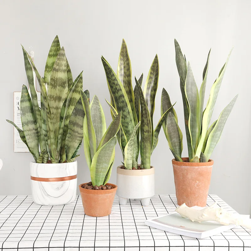 Искусственные пластиковые зеленые ветки растений Sansevieria Trifasciata Prain листья