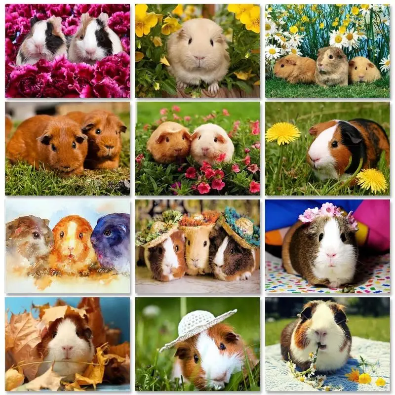 

RUOPOTY Frame Picture Diy Paint By Numbers 40x50cm Kits Hamster Animals Drawing Coloring By Numbers For Kill Time Diy Ideas