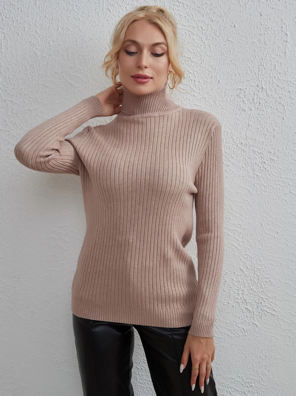 

Wixra Slim Fit Women Sweater Turtleneck Solid Knitted Pullover Full Sleeve Casual Jumpers Autumn Winter Knitwear Top