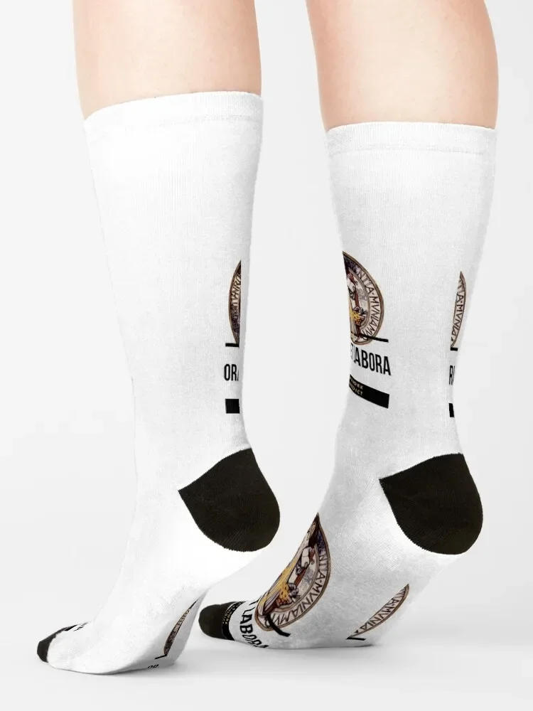 Носки женские хлопковые для футбола с надписью молиться за нас