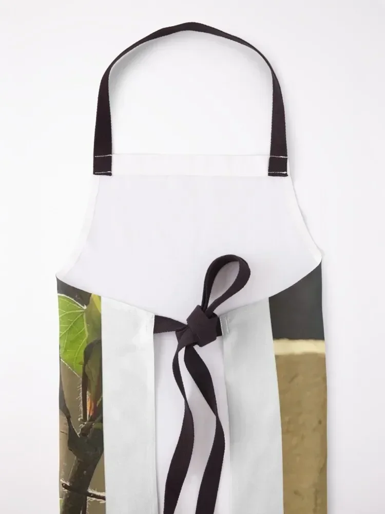 Фартук Morning Glories кухонные гаджеты фартук для кемпинга |