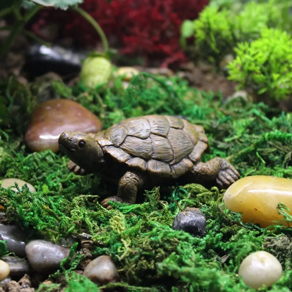 

Animal Statue Fish Tank Decoration Realistic Turtle Decoration Micro Sea Turtle Turtle Figurines Garden Accessories