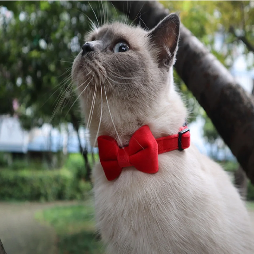 Ошейник для кошек бант безопасная Пряжка ожерелье из плюшевой ткани чихуахуа