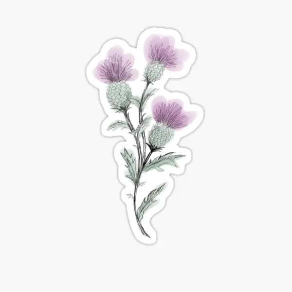 

5 шт., наклейки на бутылки для воды, с рисунком расторопши