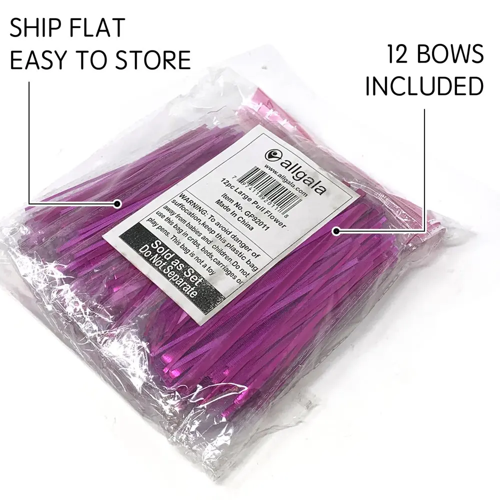 12-pc 6 Inch Large Everyday Pull Bows-Fuchsia-GP92011