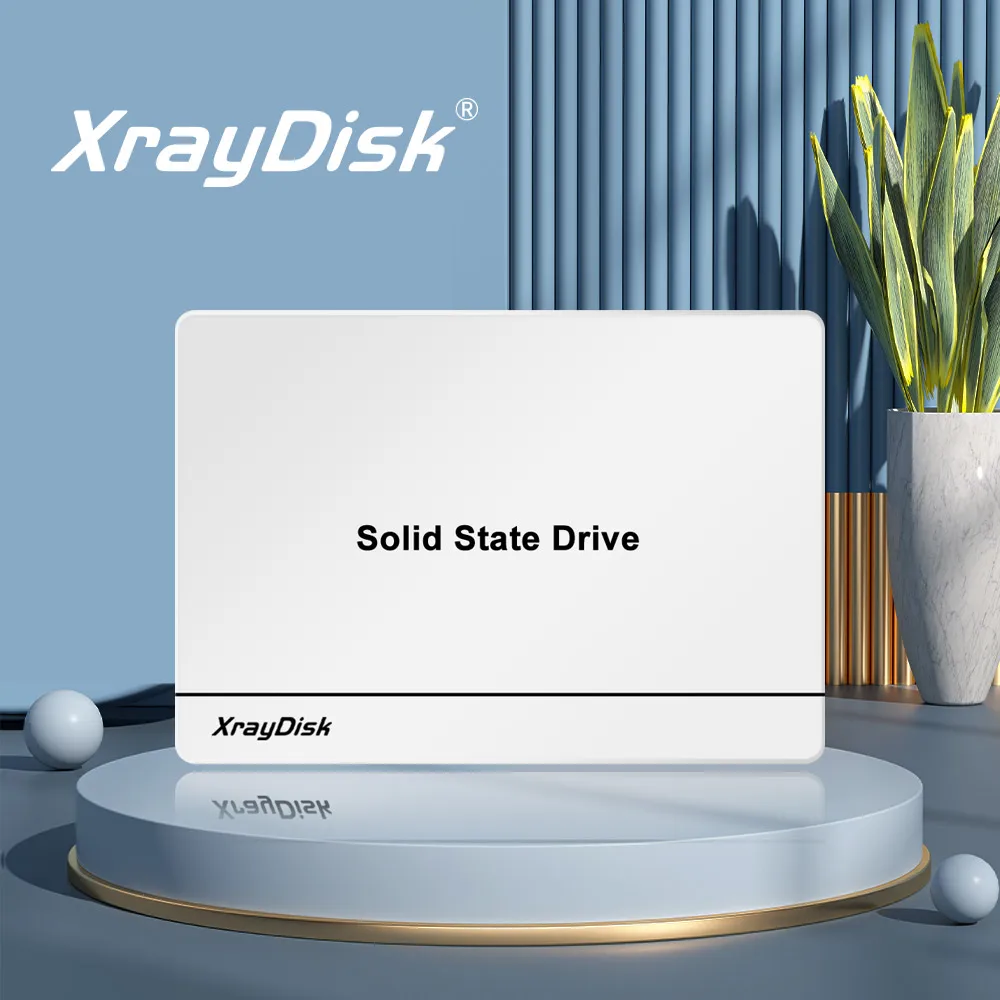  Xraydisk Sata3 Ssd White 256GB 2.5"Internal Solid State Drive For Laptop&Desktop