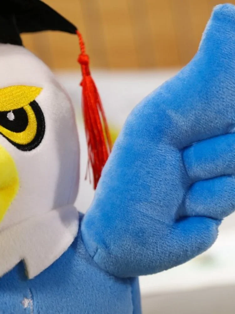 Детская милая мягкая кукла 30 см 40 подушка Ragdoll детский подарок на день рождения и