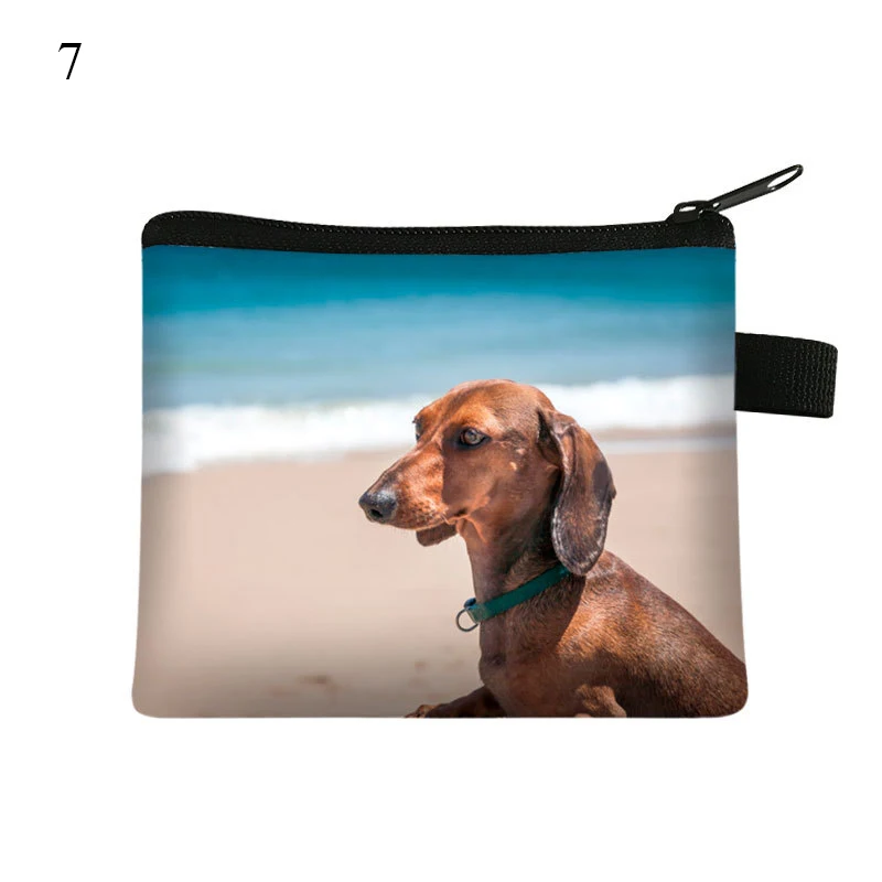 Purse Card Holder Coin Bag Wallet Storage Pouch Key Pouch Card Bag Dachshund Dog Zipper Waterproof Cute Portable Personalized