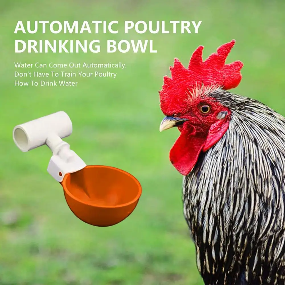 

Чашка для воды для цыплят 5 шт. прочная с 1/2 многоразовой большой автоматической чашкой для воды для цыплят принадлежности для птицы