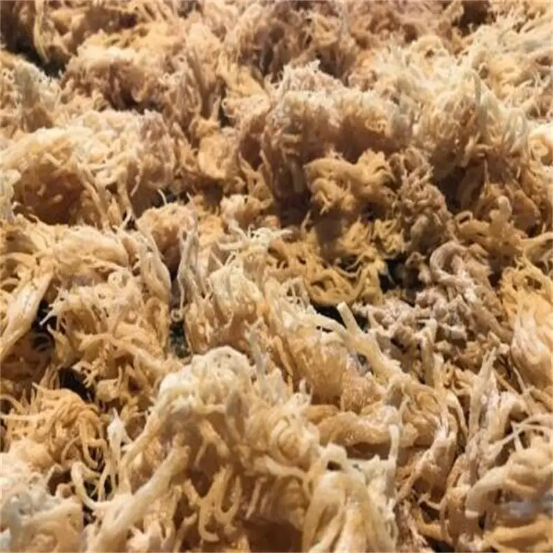 

Ирландский мох натуральный морской бриофит 6 унций Wieght потеря подавляет аппетит