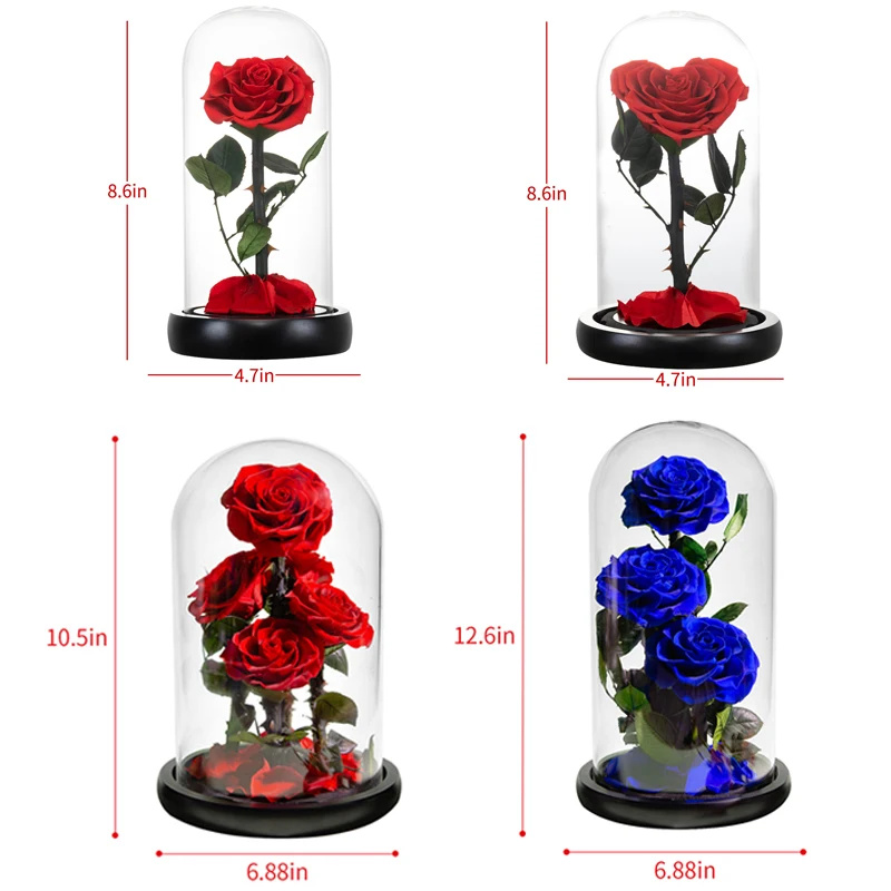 Eternal Preserved Roses In Glass Dome 5 Flower Heads Rose Forever Love Wedding Favor Mothers Day Gifts for Women Girlfriends images - 6