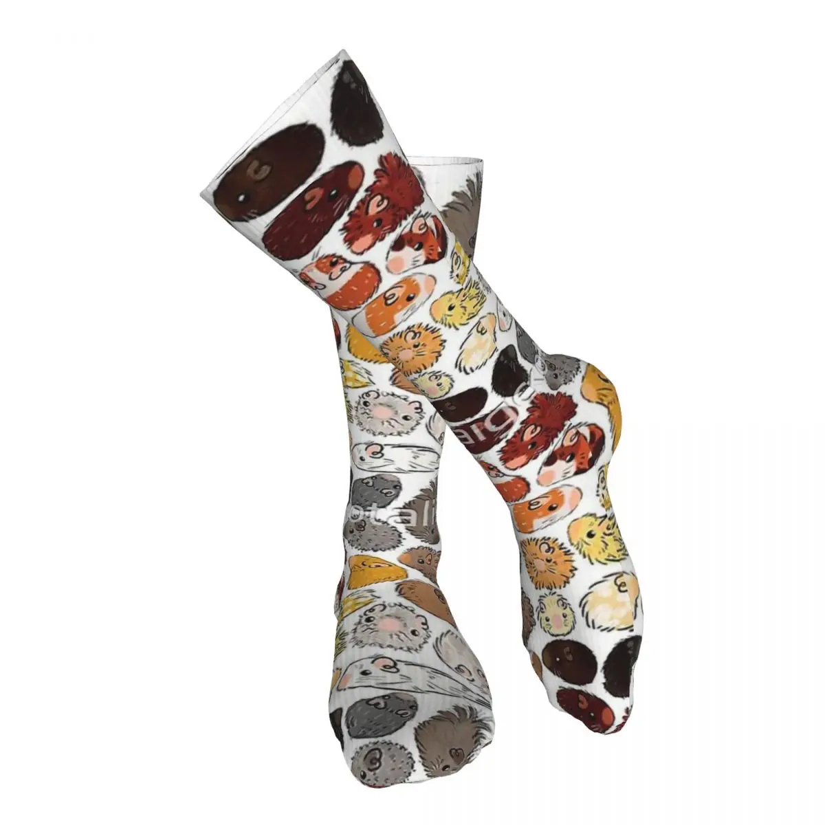 

Guinea Pig Gradient Adult Stockings Not Easy to Pilling Suitable For Sports soft Customised Patterns