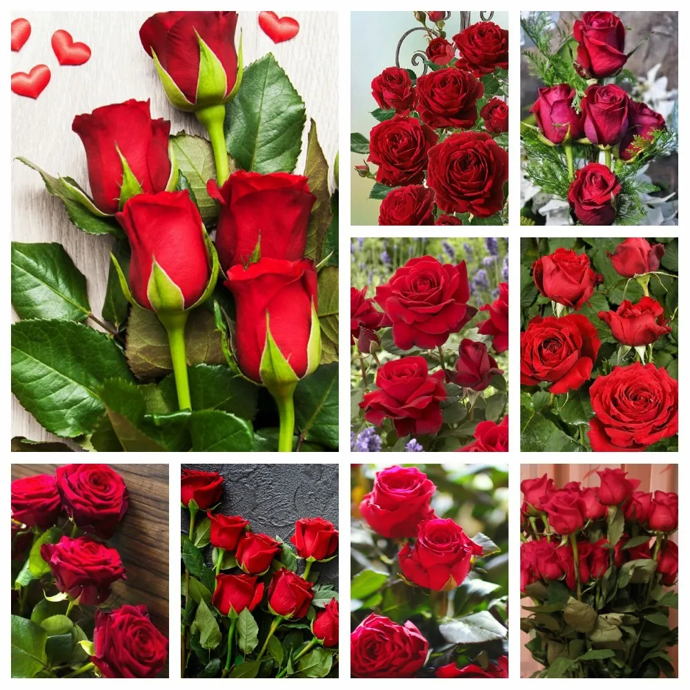 

5D DIY Diamond Painting Beautiful Flower Rose Embroidery Mosaic Art Picture Full Drill Cross Stitch Kit Home Decor Birthday Gift