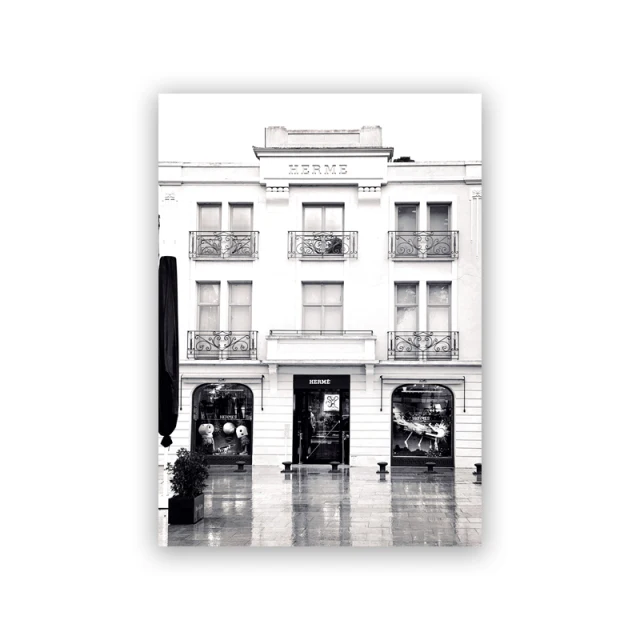 Черно-белая фотография на холсте Ilan grace