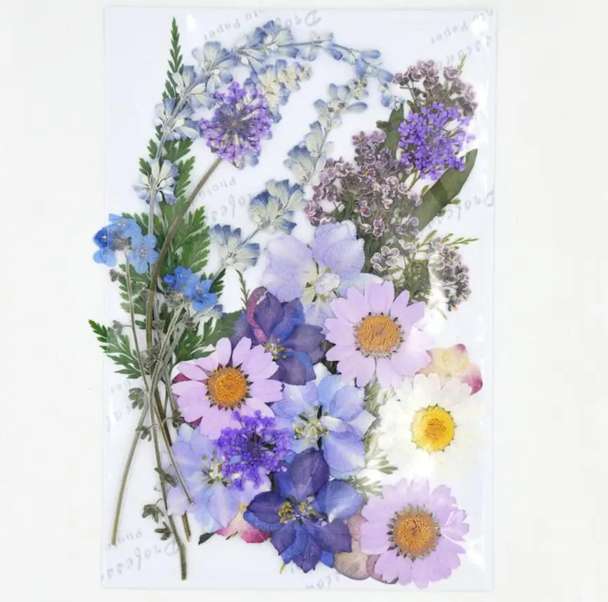 1 набор разнообразных цветов цветочный лист гербарий для эпоксидной смолы