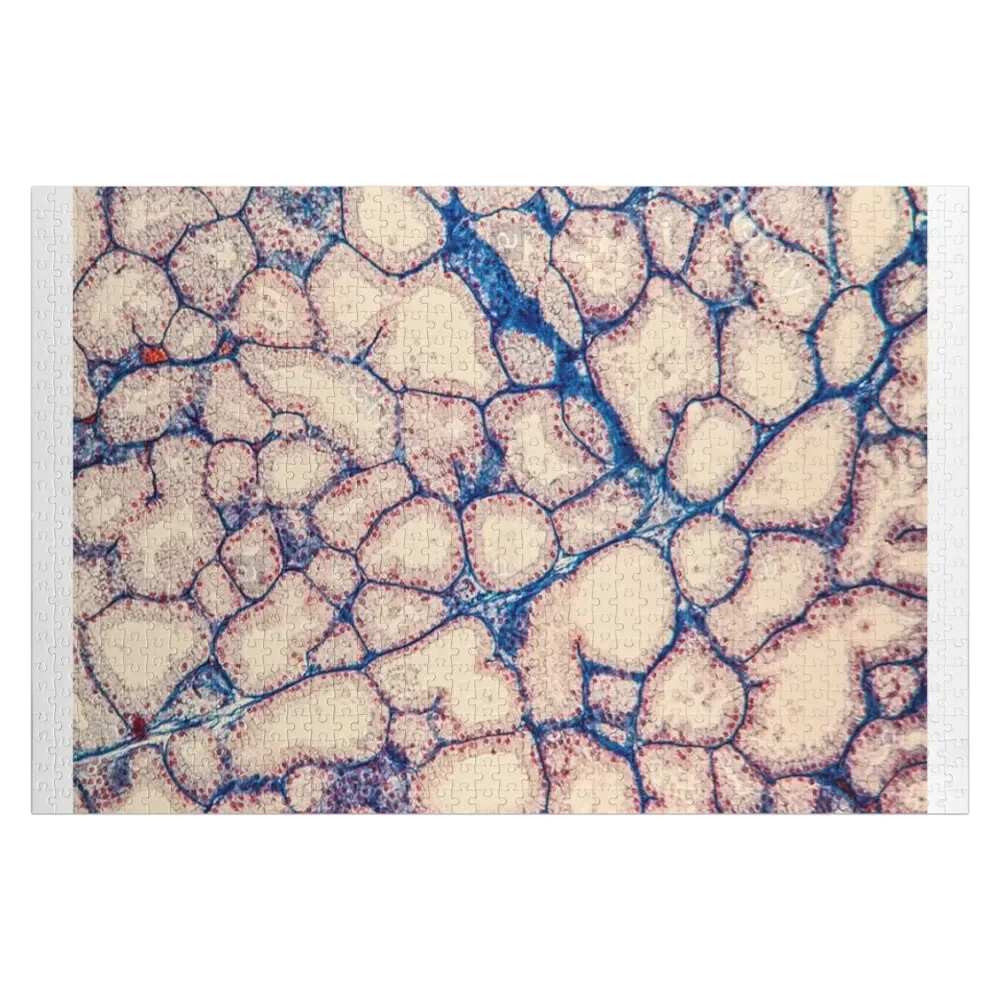 Лаковые сальники деревянные пазлы для взрослых настраиваемый подарок ребенку