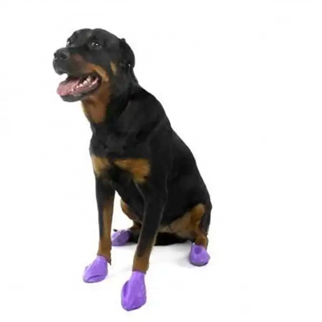

Pawz Large Large Breed Dog Footwear Cover 12 Pcs Purple 429216626
