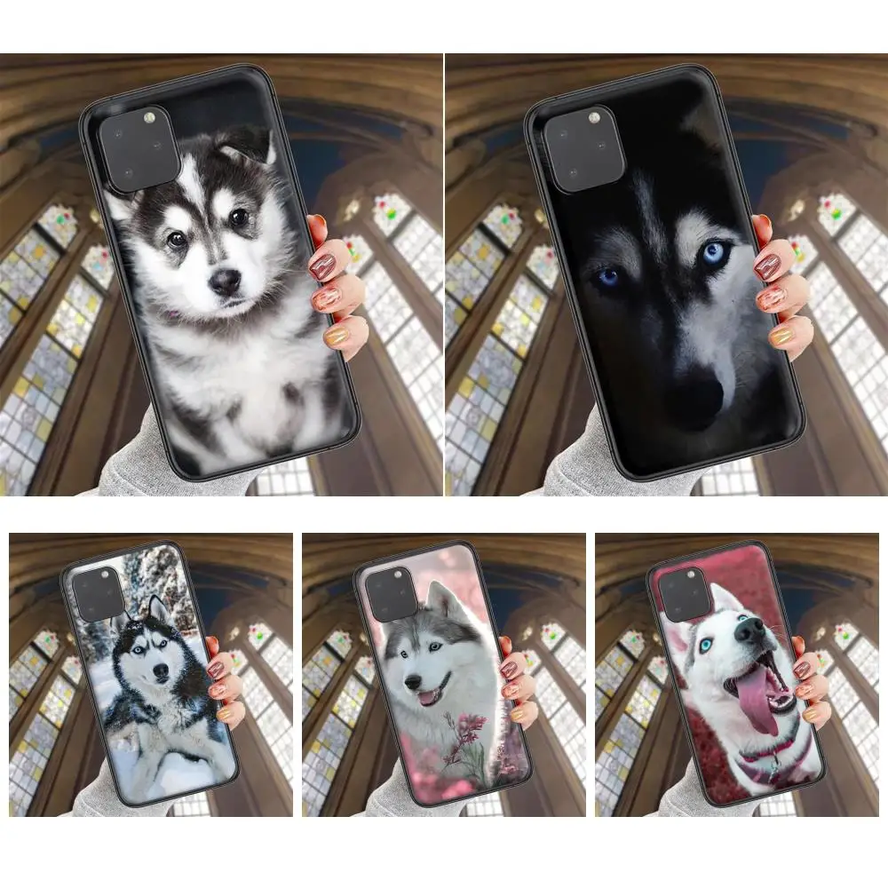 Супердешевый черный чехол роскошный бампер Модный милый Хаски для Samsung Galaxy J1 J2 J3 J4