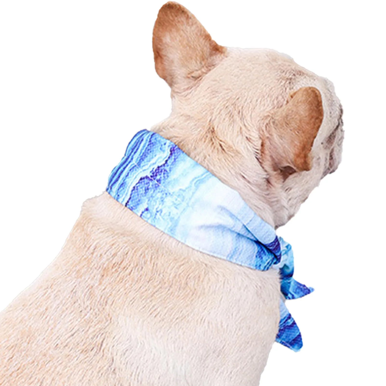 

Dog Ice Bandana Breathable Scarf Dog Cat Ice Collar For Summer Pet Breathable Summer Ice Scarf Collar For Small Medium Large