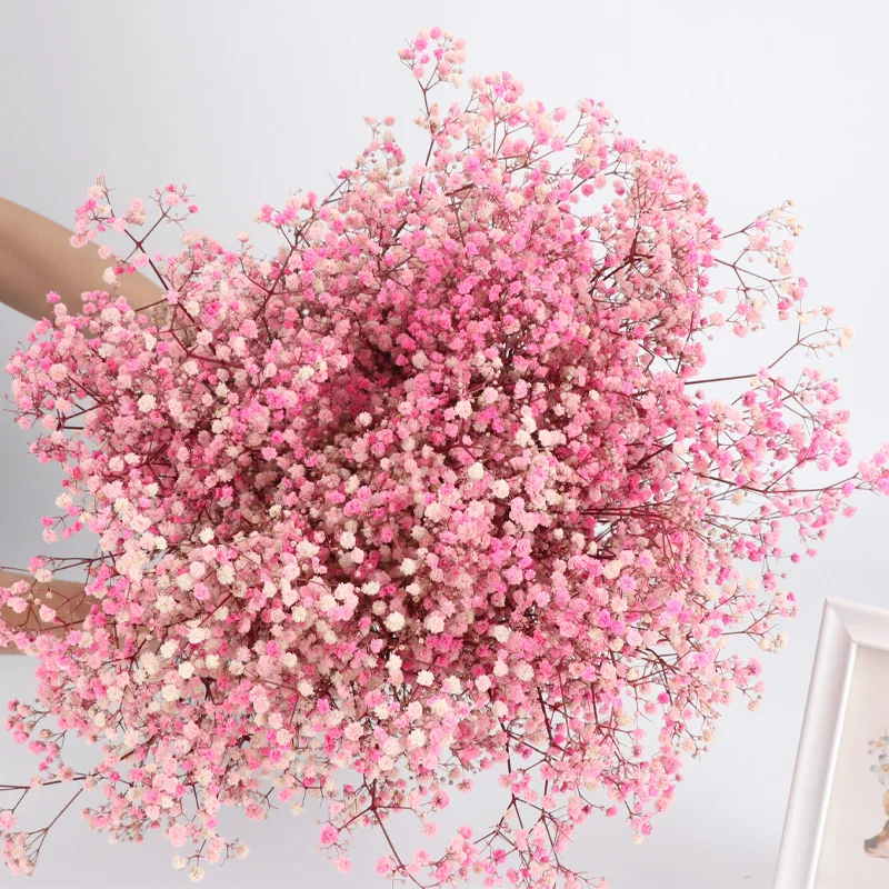 Gypsophile Decorations for Home Natural Flowers Wedding Bouquet Bouquets of Natural Preserved Flowers Dried Decoration Christmas