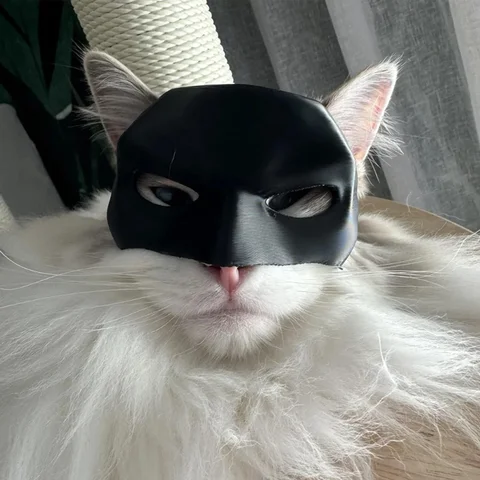 Маска летучая мышь для кошки