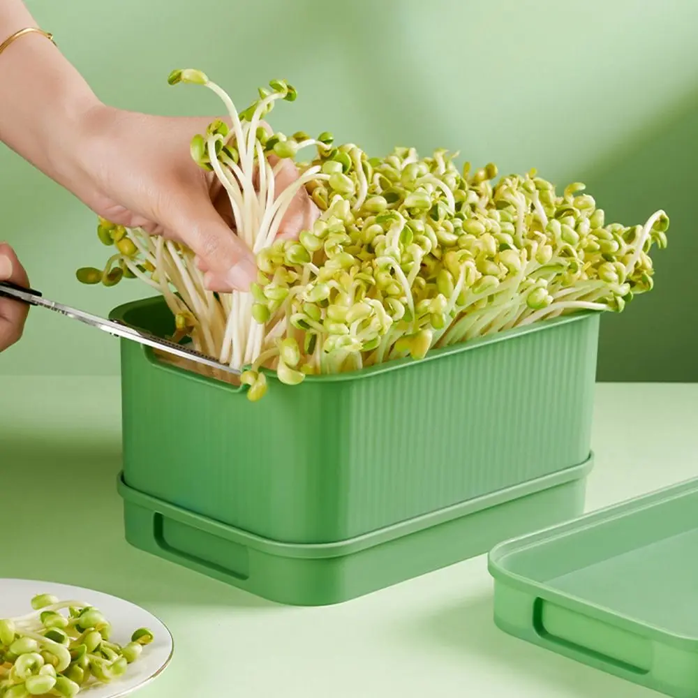 Поднос для выращивания без земли поднос растений инструмент садоводства