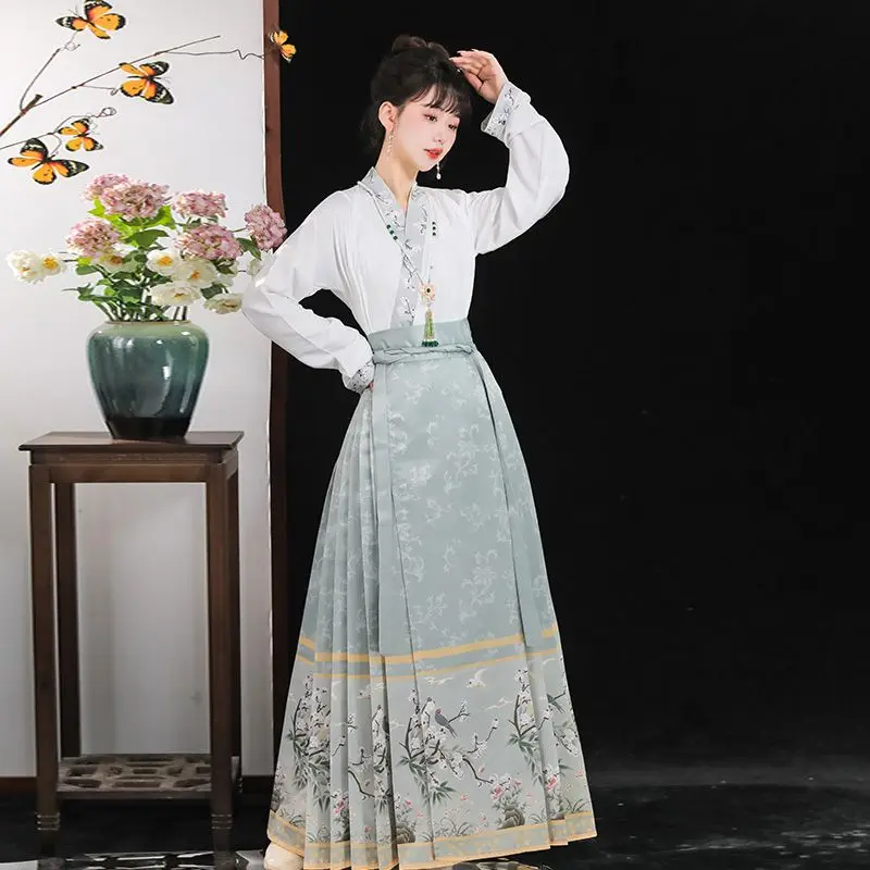 Horse Face Skirt Ancient Hanfu Chinese Style Daily Hanfu Costume ...