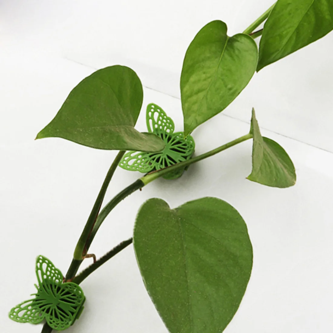 

Decorative Butterfly Shape Clips Garden Greenhouse Accessories for Vines Vegetables Tomatoes 10Pcs Home Garden Supplies