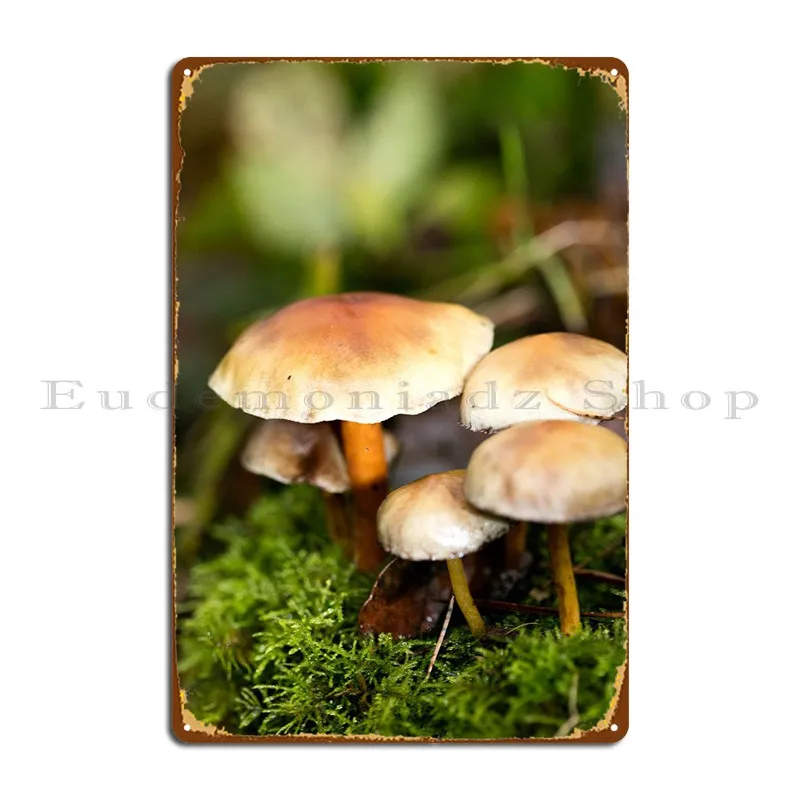 

Trippy Mushrooms Close Up Metal Plaque Club Cinema Pub Custom Wall Cave Tin Sign Poster