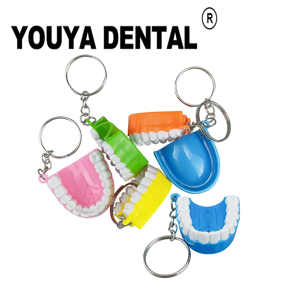 

Брелок цепочка, 50 шт., брелок в форме верхней челюсти, зуб, сувенирные стоматологические аксессуары, подарок для клиники