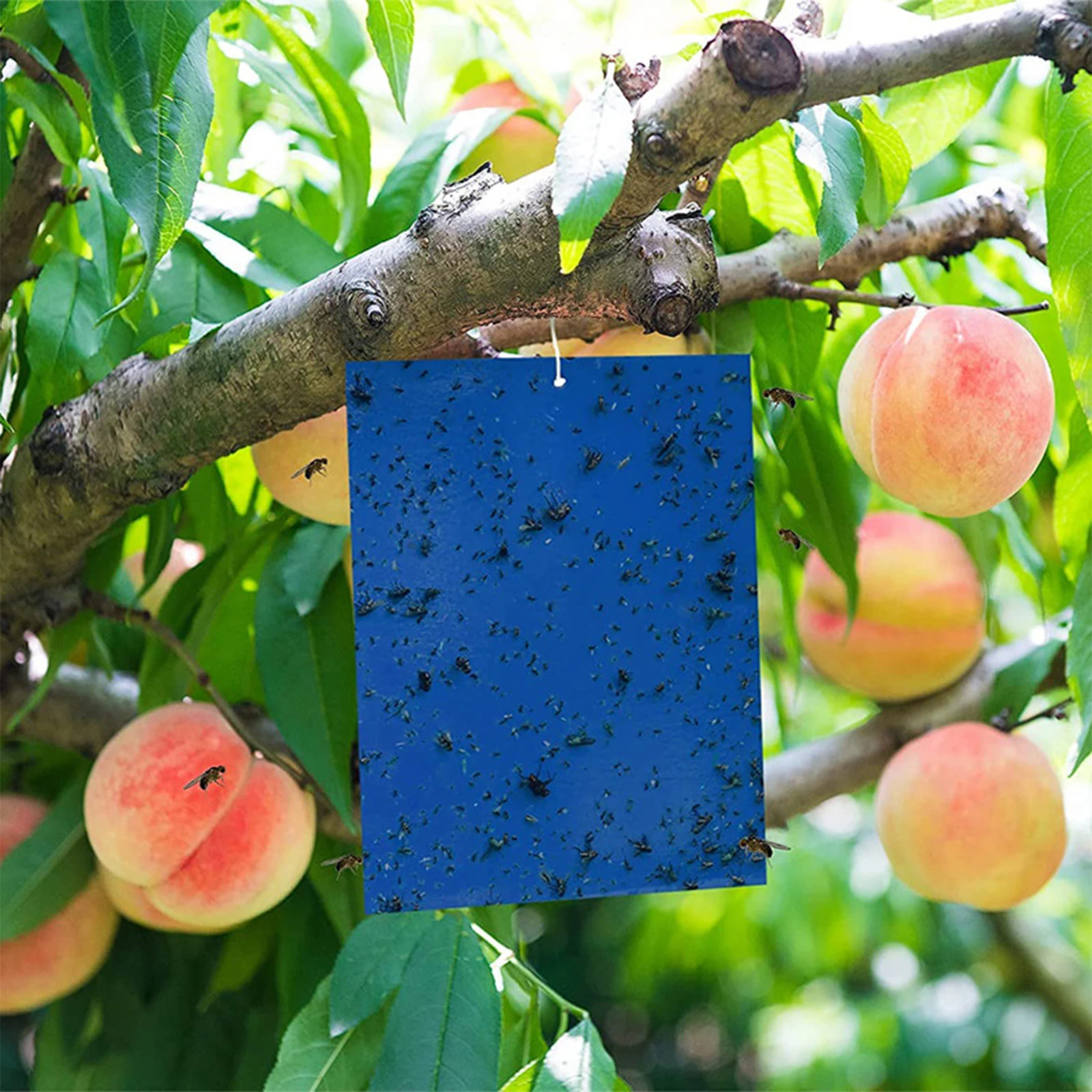 100 шт. желтая двухсторонняя ловушка для летающих насекомых липкая доска садовая