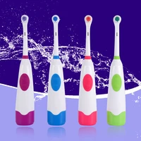 electric toothbrush 2 replaceable brush heads ipx7 waterproof automatic ultrasonic household oral care tooth cleaning brush