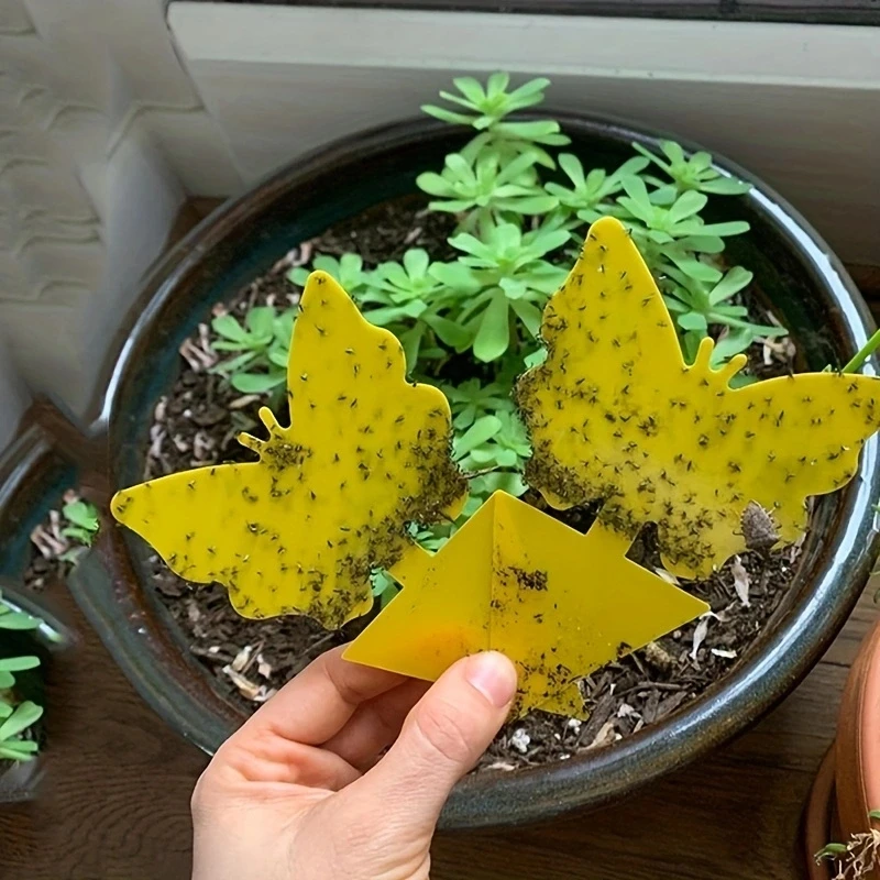 10 шт. ловушка для насекомых и мух