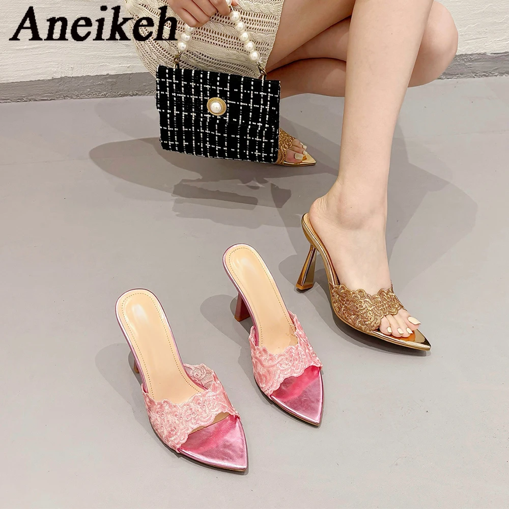 Женские шлепанцы с острым носком Aneikeh кружевные дизайнерские пикантные летние