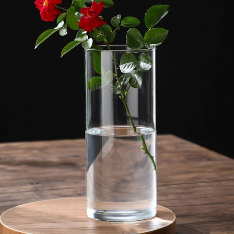 Цветочная ваза для домашнего декора, стеклянная ваза, декоративные растения для террариума, настольные украшения, декоративная фотография