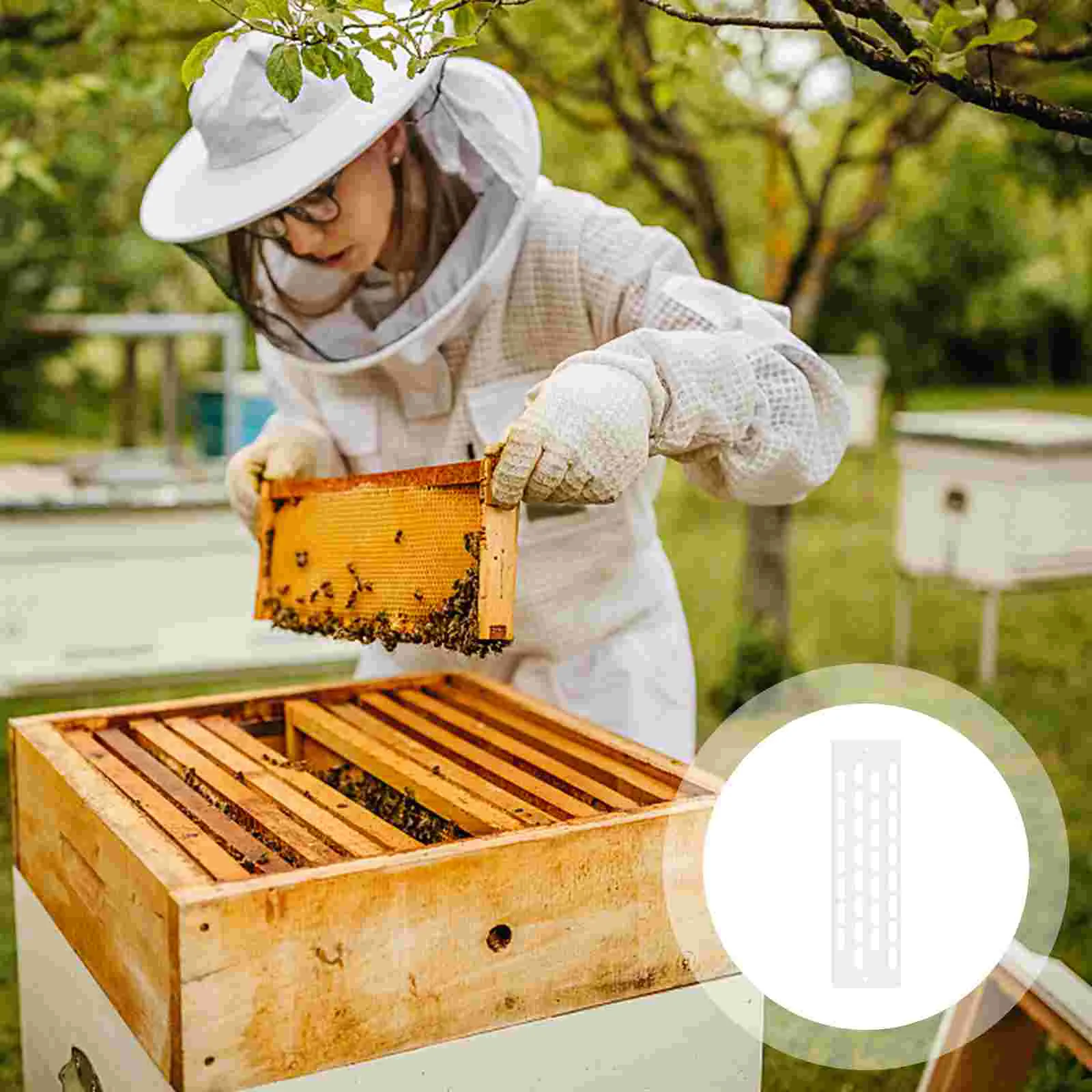 

50Pcs Beekeeping Accessories For Beehive Protective Multi-hole Hive Door for Beekeeping Beekeeping Accessories