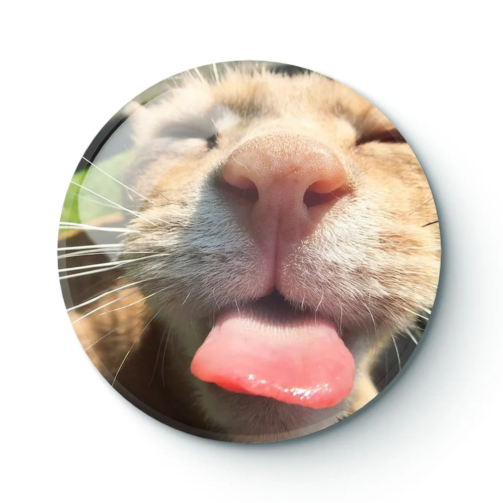 

CAT MEME 003 Buttons Brooches Pin Jewelry Accessory Customize Brooch Fashion Lapel Badges