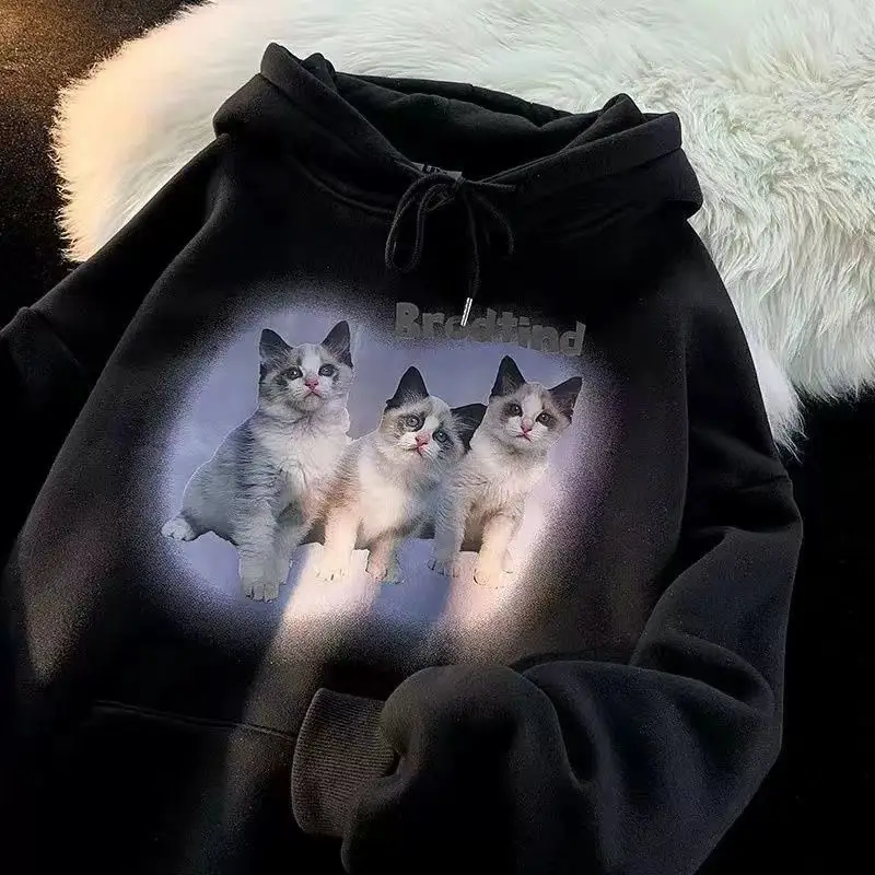 Рисунок 2 - Осенний свитшот с капюшоном в гонконгском