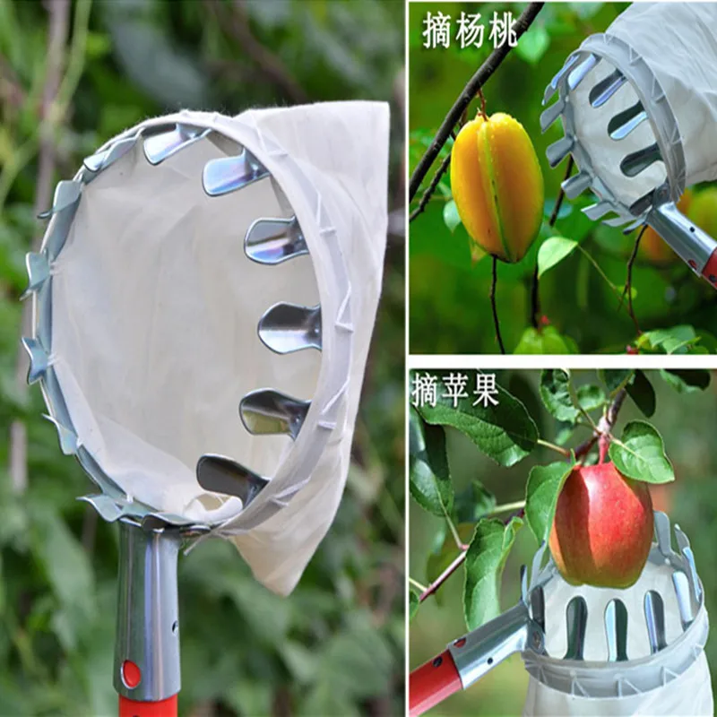 

Metal Fruit Picker Orchard Gardening Apple Peach High Tree Picking Convenient Tools Fruit Farm Garden Picking Device Tools