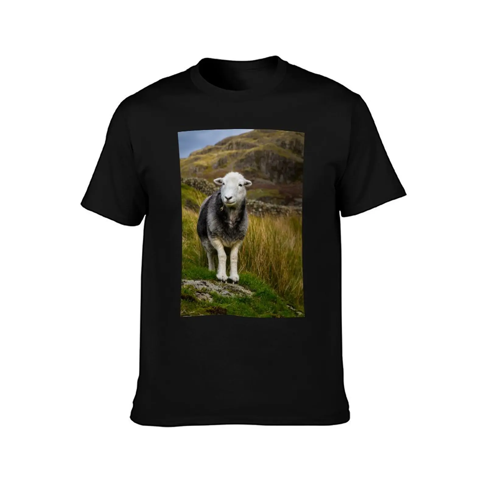 Фото Футболка с изображением овец Herdwick, рабочая одежда, футболка с короткими рукавами №2