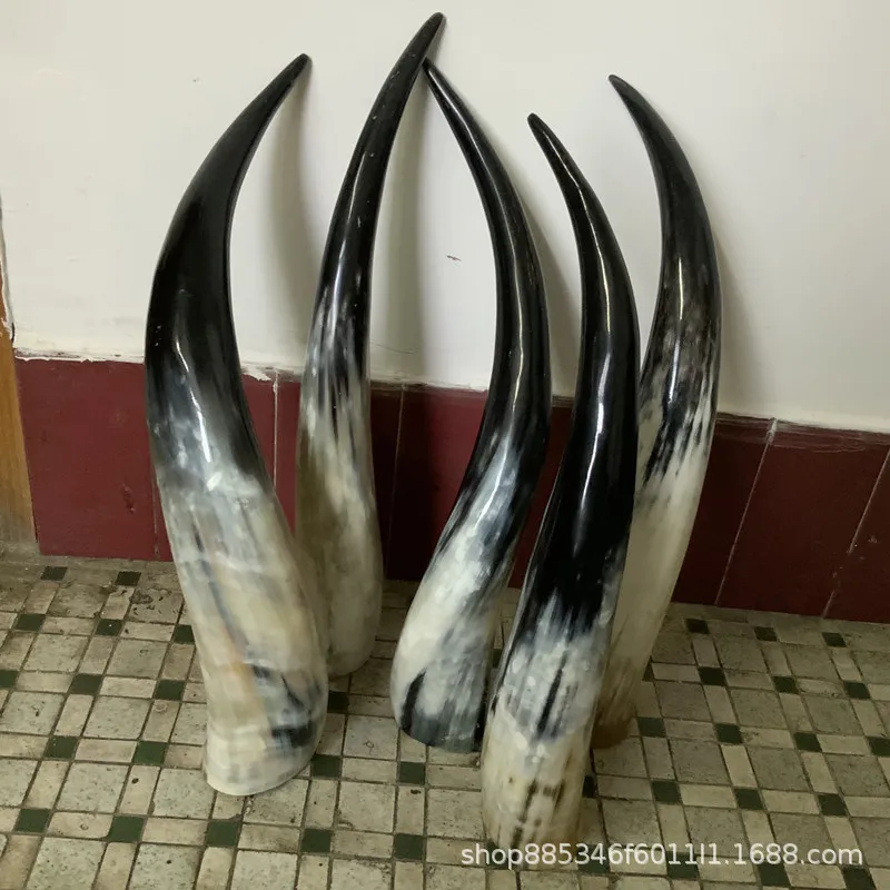 Рог для крупного рогатого скота с изображением черепа яка