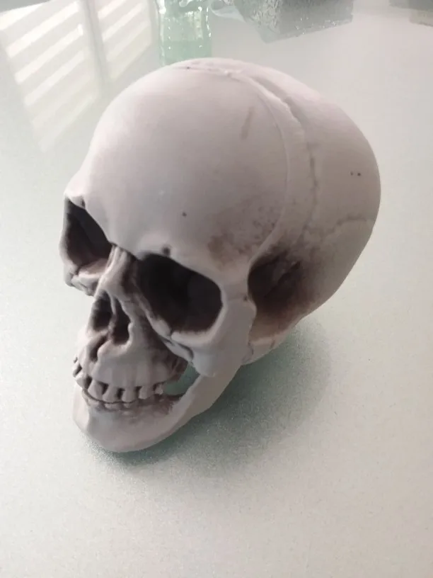 Модель украшения для Хэллоуина искусственный череп модель головы пластиковый