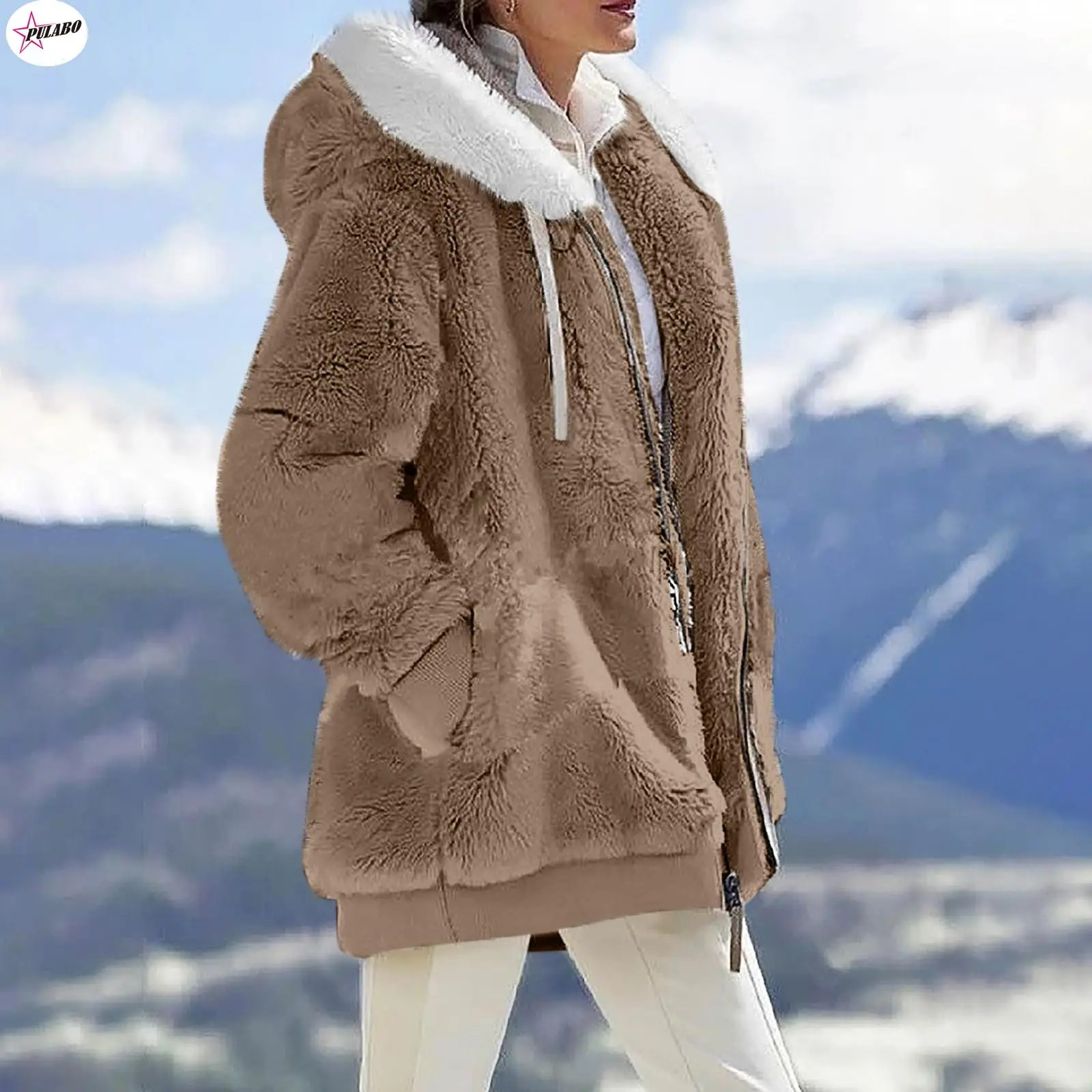 

Autumn Winter Plush Coat Women Fashion Soild Hooded Coat Loose Plush Long Sleeve Zipper Pocket Teddy Overcoat Female