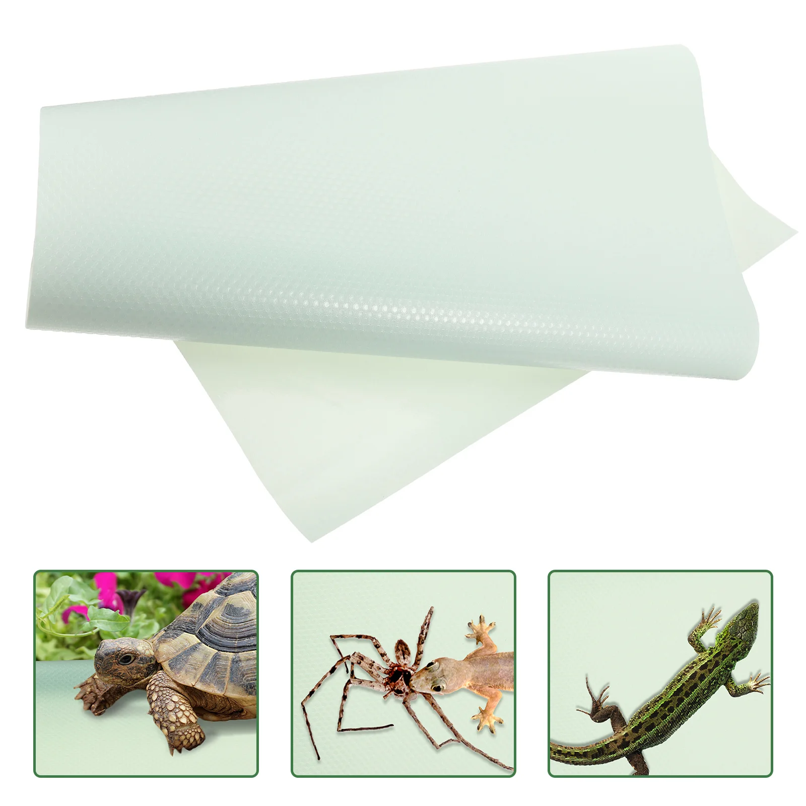 

Pet Accessories Liner Terrarium Substrate Carpet Reptile Tank Bearded Dragon Gecko Eva Snake Bedding